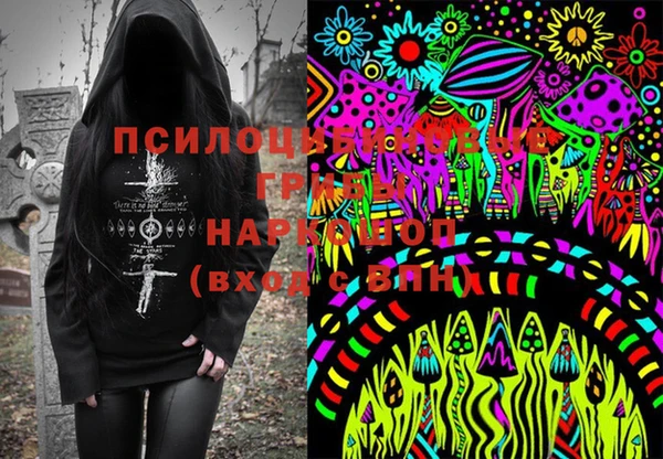 экстази Алексин